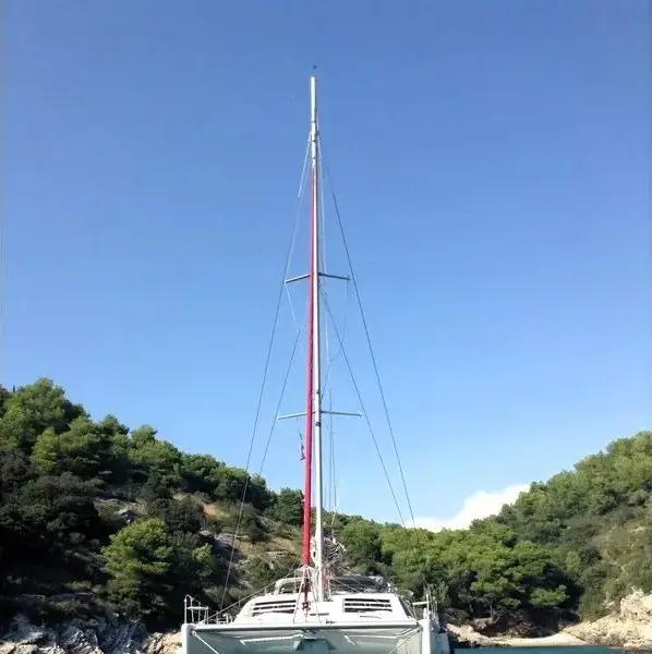 Leopard 47