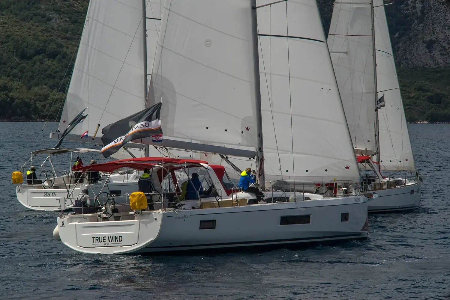 Oceanis 51.1 (2019)